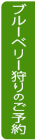ブルーベリー狩りのご予約