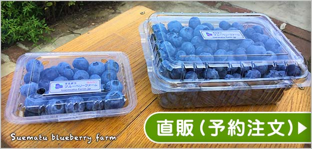 ブルーベリー直販